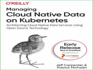 دانلود کتاب مدیریت داده های Cloud Native در Kubernetes