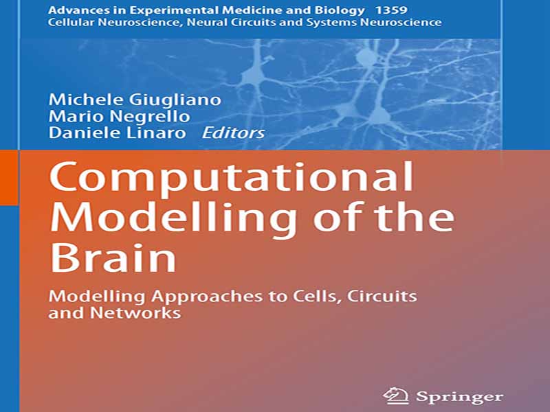 دانلود کتاب مدلسازی محاسباتی مغز – رویکردهای مدل سازی سلول ها، مدارها و شبکه ها
