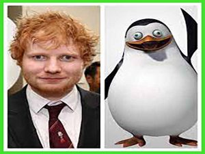 دانلود آهنگ Penguins از Ed Sheeran با متن و ترجمه