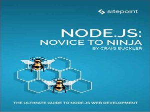 دانلود کتاب راهنمای برنامه نویسی node.js از Novice تا Ninja