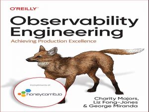 دانلود کتاب مهندسی مشاهده پذیری