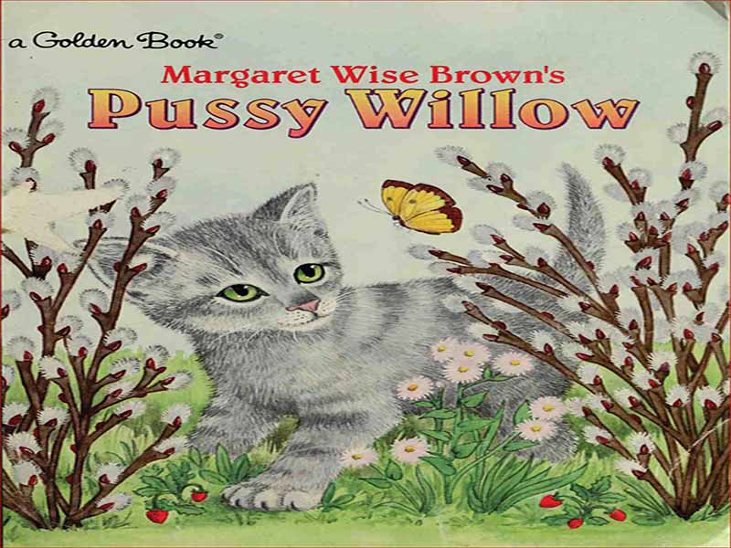 دانلود کتاب داستان انگلیسی “گربه بیدمشکی”