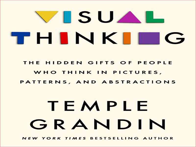 دانلود کتاب تفکر بصری – هدایای پنهان افرادی که در تصاویر، الگوها و انتزاع ها فکر می کنند