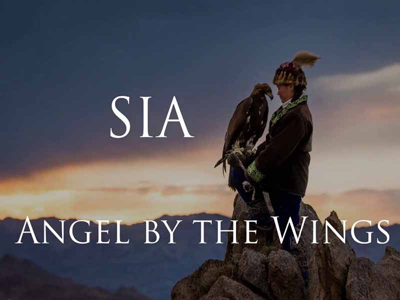 دانلود آهنگ Angel By The Wings از Sia با متن و ترجمه