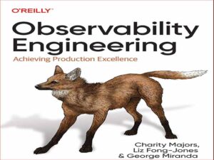 دانلود کتاب مهندسی مشاهده پذیری دستیابی به تعالی تولید