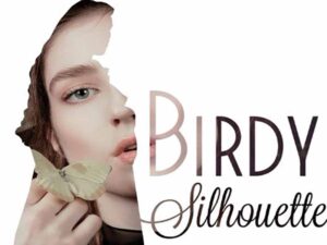 دانلود آهنگ Silhouette از Birdy با متن و ترجمه