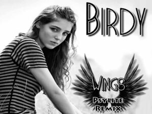 دانلود آهنگ Wings از Birdy با متن و ترجمه