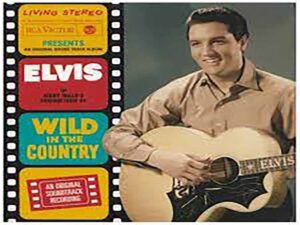 دانلود آهنگ Wild In The Country از Elvis Presley با متن و ترجمه