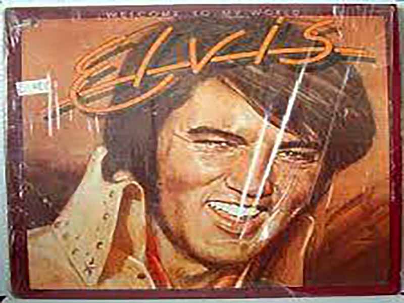 دانلود آهنگ Welcome To My World از Elvis Presley با متن و ترجمه
