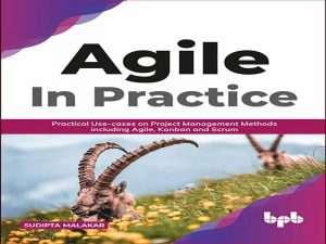 دانلود کتاب راهنمای عملی AGILE – موارد استفاده عملی در روش های مدیریت پروژه از جمله Agile، Kanban و Scrum