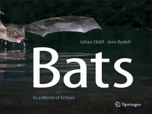دانلود کتاب خفاش ها در دنیایی از پژواک