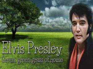 دانلود آهنگ Green, Green Grass of Home از Elvis Presley با متن و ترجمه