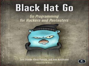 دانلود کتاب کلاه سیاه زبان برنامه نویسی GO – برنامه نویسی GO برای هکرها و پنتسترها