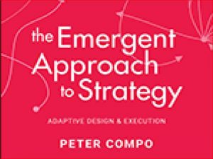دانلود کتاب رویکرد اضطراری به استراتژی – طراحی و اجرای تطبیقی