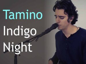 دانلود آهنگ Indigo Night از Tamino با متن و ترجمه