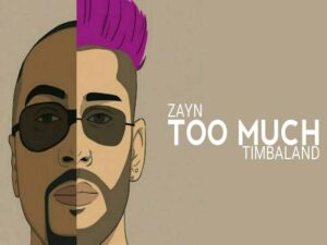 دانلود آهنگ Too Much از Zayn Malik و Timbaland با متن و ترجمه