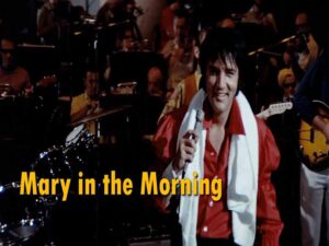 دانلود آهنگ Mary In the Morning از Elvis Presley با متن و ترجمه