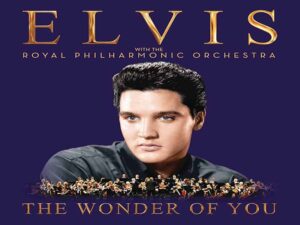 دانلود آهنگ The Wonder Of You از Elvis Presley با متن و ترجمه