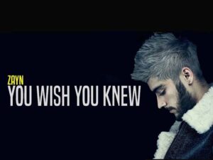 دانلود آهنگ You wish you knew از Zayn Malik با متن و ترجمه