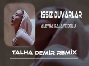 دانلود آهنگ ترکی Issız Duvarlar از Aleyna Kalaycıoğlu با متن و ترجمه