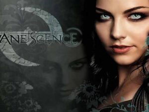 دانلود آهنگ What You Want از Evanescence با متن و ترجمه
