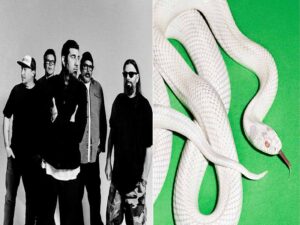 دانلود آهنگ my mind is a mountain از Deftones با متن و ترجمه