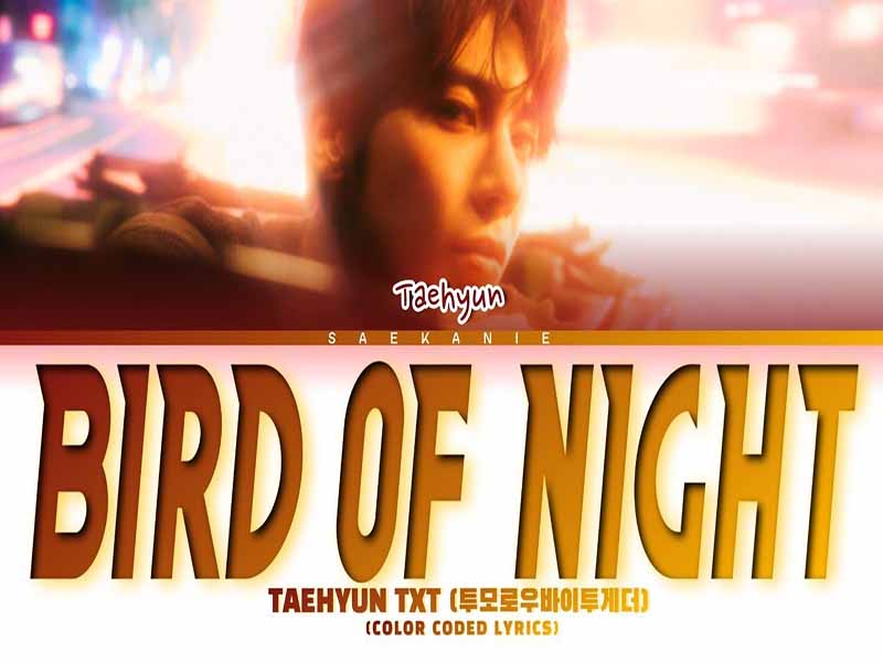 دانلود آهنگ کره ای Bird of Night از TXT با متن و ترجمه
