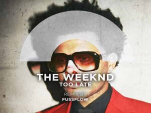 دانلود آهنگ Too Late از The Weeknd با متن و ترجمه