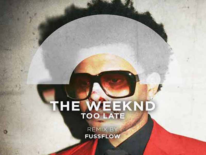 دانلود آهنگ Too Late از The Weeknd با متن و ترجمه
