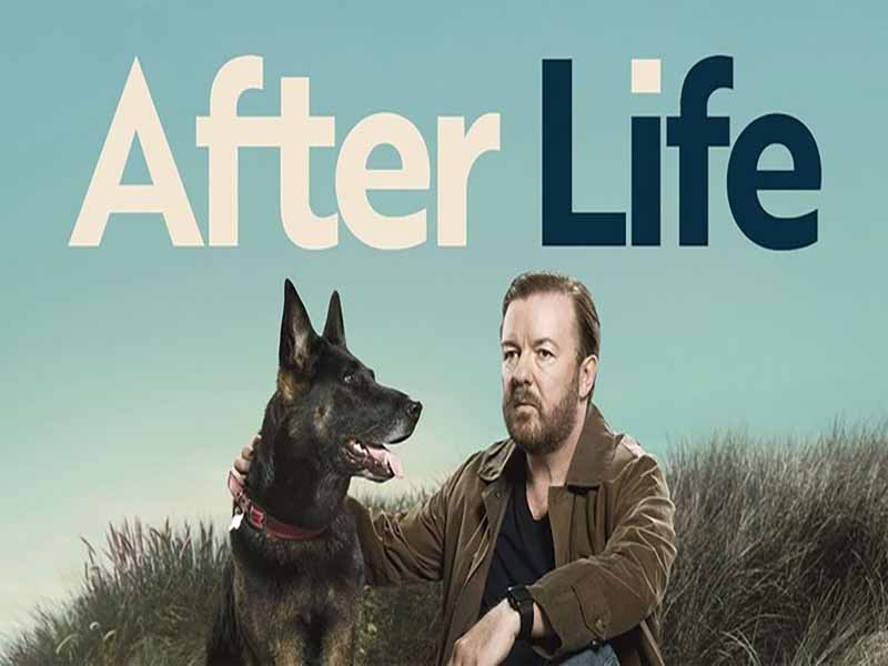 دانلود آرشیو زیرنویس انگلیسی سریال Afterlife