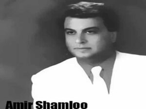 دانلود نوای “چون ابر به نوروز رخ لاله بشست” از احمد شاملو با متن و ترجمه انگلیسی