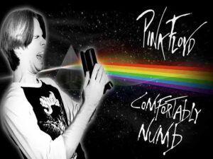 دانلود آهنگ Comfortably Numb از Pink Floyd با متن و ترجمه
