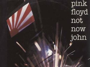 دانلود آهنگ Not Now John از Pink Floyd با متن و ترجمه