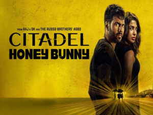 دانلود آرشیو زیرنویس انگلیسی سریال Citadel Honey Bunny