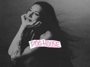 دانلود آهنگ DOG HOUSE از Drake و Julia Wolf و Yeat با متن و ترجمه
