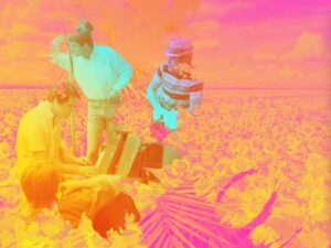 دانلود آهنگ All I Wanna Do از Beach Boys با متن و ترجمه