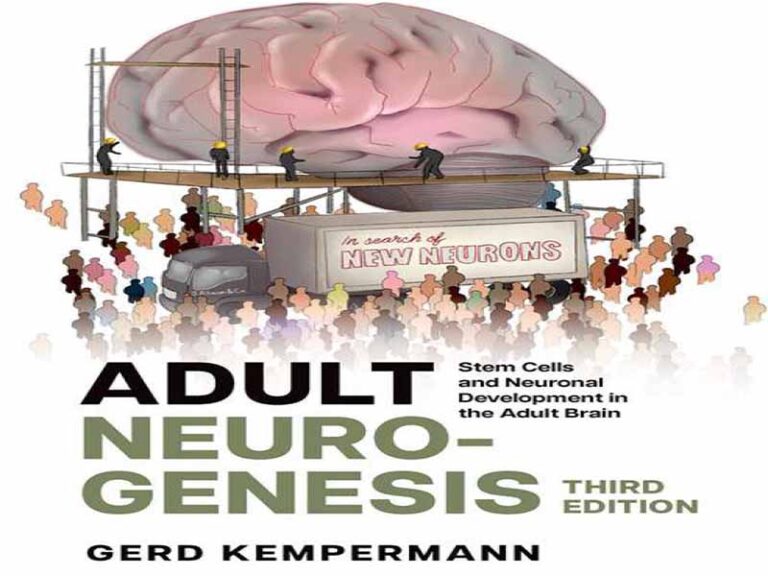 دانلود کتاب نوروژنز بزرگسالان – سلول‌های بنیادی و رشد عصبی در مغز بزرگسالان