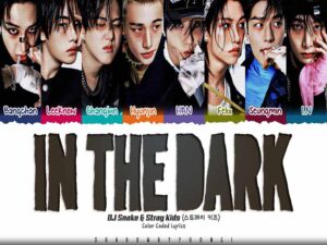 دانلود آهنگ انگلیسی کره‌ای In The Dark از DJ Snake و Stray Kids با متن و ترجمه