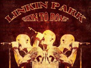 دانلود آهنگ Skin To Bone از Linkin Park با متن و ترجمه