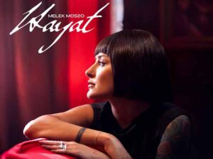 دانلود آهنگ ترکی Hayat از Melek Mosso با متن و ترجمه