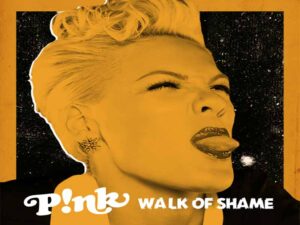 دانلود آهنگ Wall Of Shame از Pink با متن و ترجمه