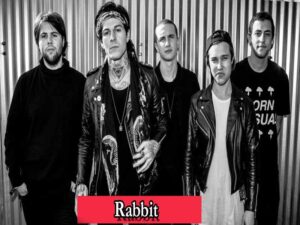 دانلود آهنگ Rabbit از The Neighbourhood با متن و ترجمه
