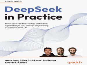 دانلود کتاب دیپسیک (DeepSeek) در عمل از اصول اولیه تا تنظیم دقیق، خلاصه‌سازی، طراحی عامل و مهندسی سریع LLM متن‌باز
