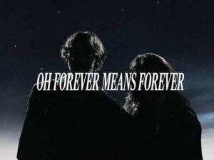 دانلود آهنگ DEATH WON’T DO US PART از Chris Grey و Ari Abdul با متن و ترجمه