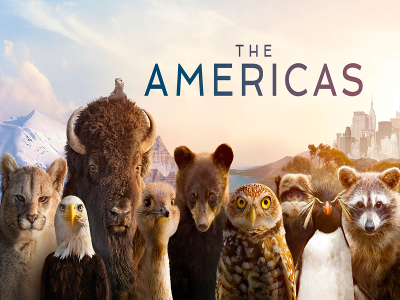 دانلود آرشیو زیرنویس انگلیسی انیمیشن The Americas