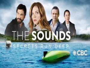 دانلود آرشیو زیرنویس انگلیسی سریال The Sounds