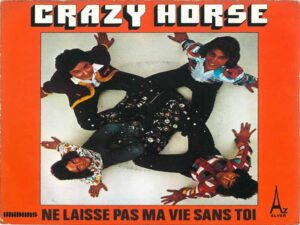 دانلود آهنگ فرانسوی Ne laisse pas ma vie sans toi از Crazy Horse با متن و ترجمه