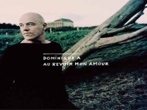 دانلود آهنگ فرانسوی Au revoir mon amour از Dominique A با متن و ترجمه
