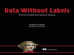 دانلود کتاب داده بدون برچسب – یادگیری ماشین عملی بدون ناظر