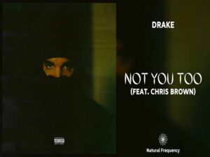 دانلود آهنگ Not You Too از Drake و Chris Brown با متن و ترجمه